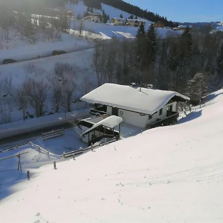 Apartment In Dienten With Mountain Views