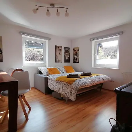 Apartment In Dienten With Mountain Views *