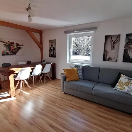 Apartmán In Dienten Near Gabuehel Lift Dienten am Hochkönig