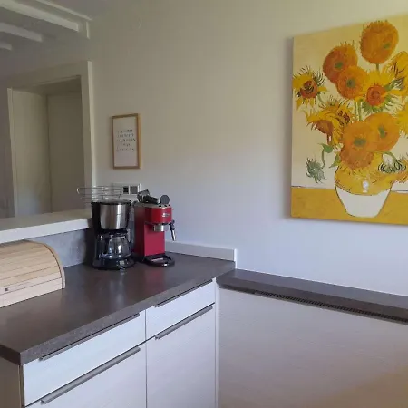 Apartmán In Dienten Near Gabuehel Lift *